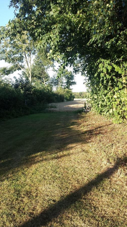 Ferienwohnung-Moeller Rabenholz Zewnętrze zdjęcie
